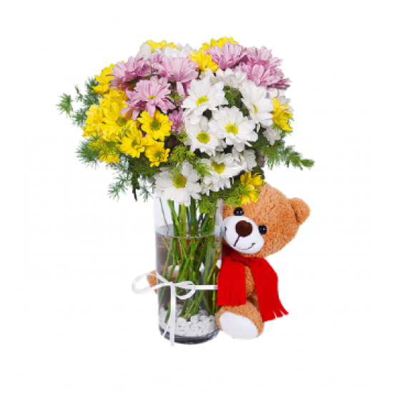 Ayıcıklı Vazoda Renkli Papatya (~50 cm)