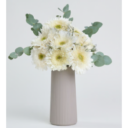 Bej Çizgili Polimer Vazoda Beyaz Gerbera Çiçekleri