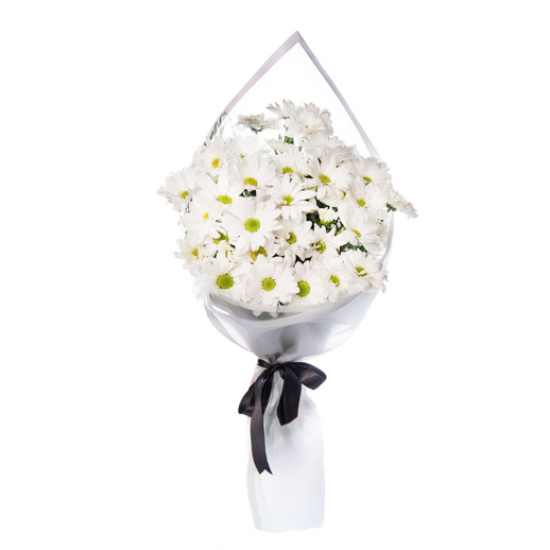 Beyaz Ambalajda Papatya Buketi (~30 cm)