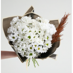 Beyaz Papatyalar Çiçek Buketi