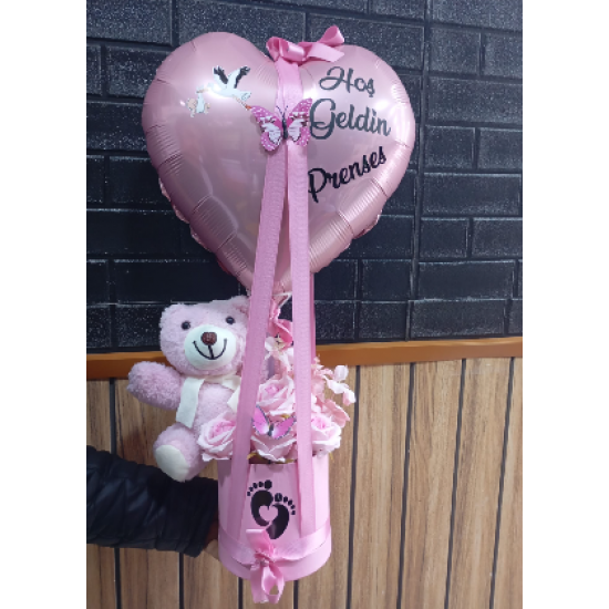 HOŞLGELDİN PRENSES