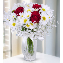 Kırmızı Gül ve Papatyalar