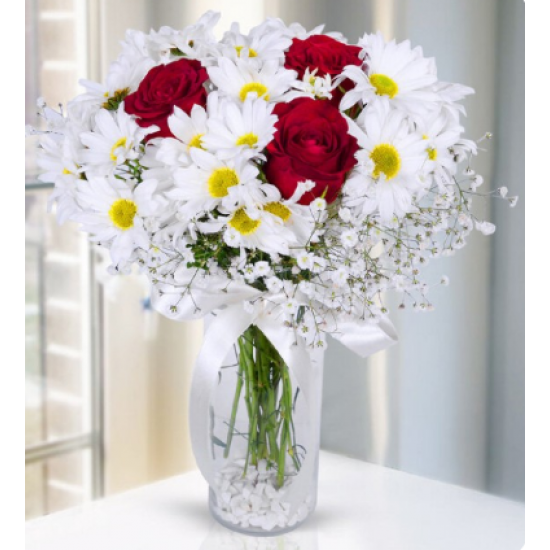 Kırmızı Gül ve Papatyalar