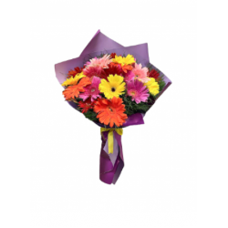 Mor Ambalaj Kağıdında Renkli Gerbera Buketi (~45 cm)