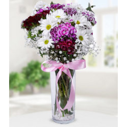 Papatya ve Hüsnüyusuf