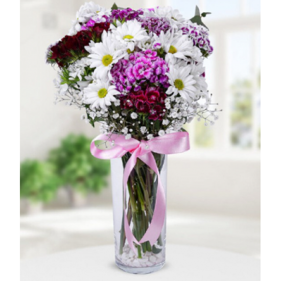 Papatya ve Hüsnüyusuf