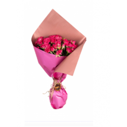 Pembe Buket Kağıdında Pembe Çardak Güller Çiçek (20'li - ~ 40 cm) 5 dal