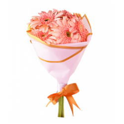 Pembe Gerbera Buketi (~40 cm)