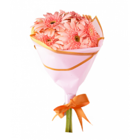 Pembe Gerbera Buketi (~40 cm)