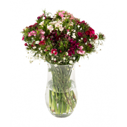 Silindir Cam Vazoda Hüsnüyusuflar (~ 30 cm)