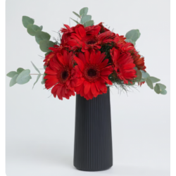 Siyah Çizgili Polimer Vazoda Kırmızı Gerbera Çiçekleri