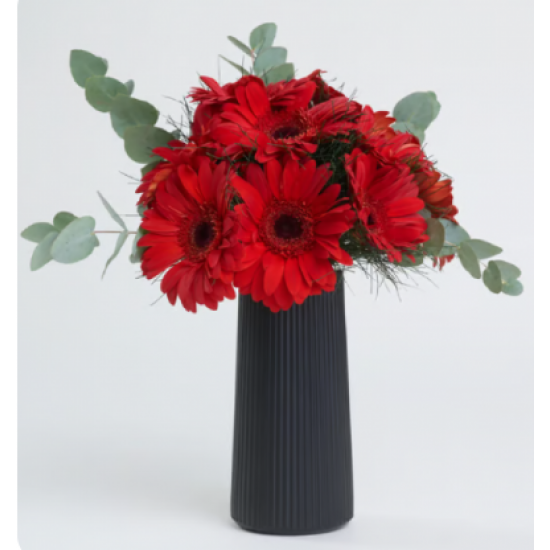Siyah Çizgili Polimer Vazoda Kırmızı Gerbera Çiçekleri