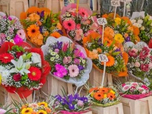 Sefaköy’de Özel Günler İçin En Çok Tercih Edilen Çiçekler