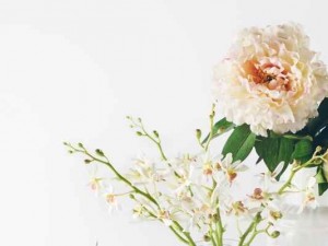 Sefaköy Çiçekçi Adresleri ve Yakın Çevrede Hizmet Veren Çiçekçiler