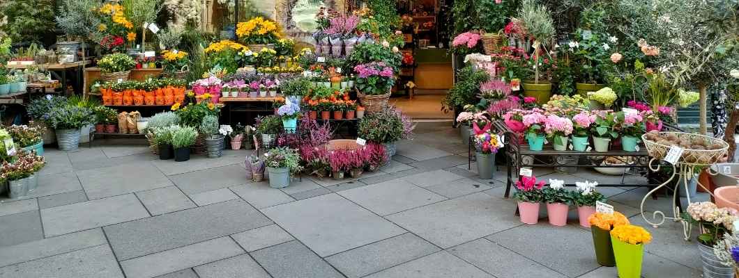 Sefaköy’de Çiçekçi Arayanlar İçin Doğru Seçim Rehberi