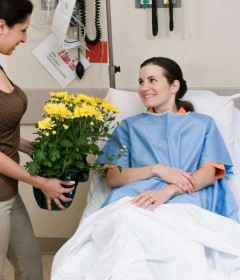 Geçmiş Olsun Çiçekleri